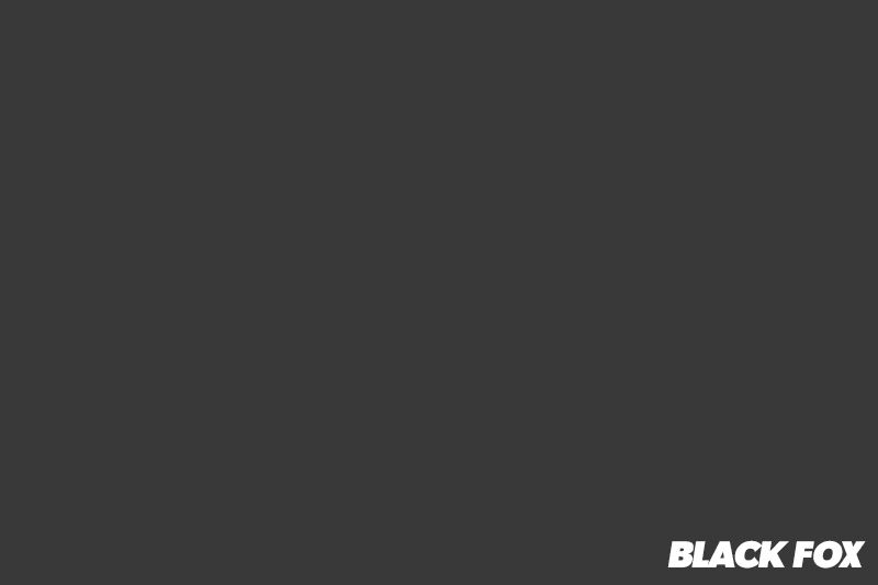 Black Fox